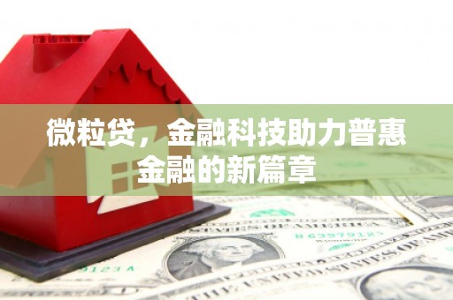 云梦微粒贷，金融科技助力普惠金融的新篇章