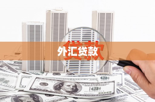 漯河外汇贷款