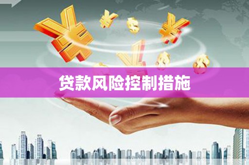 灵宝贷款风险控制措施