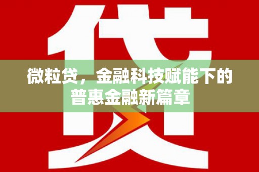 望牛墩微粒贷，金融科技赋能下的普惠金融新篇章