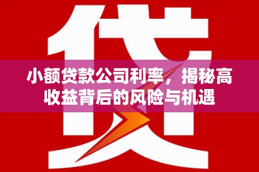 开阳小额贷款公司利率，揭秘高收益背后的风险与机遇