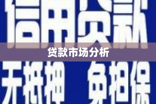 龙文贷款市场分析