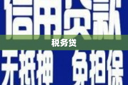 特克斯税务贷