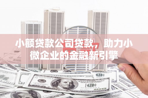 桐城小额贷款公司贷款，助力小微企业的金融新引擎