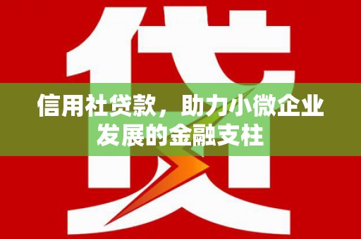金湖信用社贷款，助力小微企业发展的金融支柱