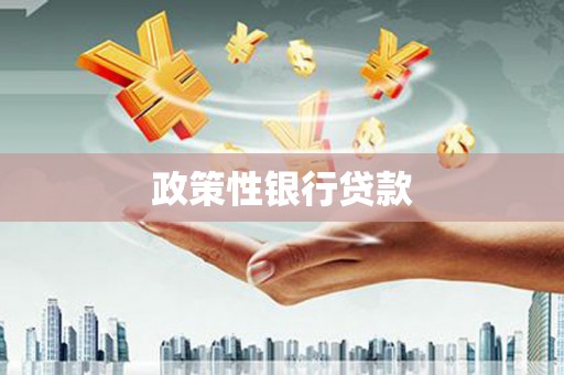 勐海政策性银行贷款