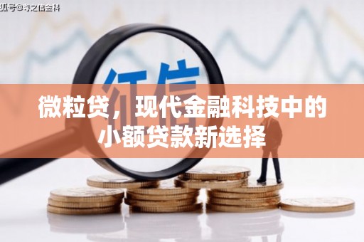 西吉微粒贷，现代金融科技中的小额贷款新选择