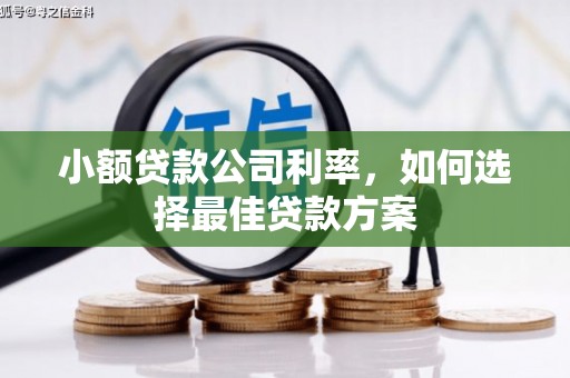 雨山小额贷款公司利率，如何选择最佳贷款方案