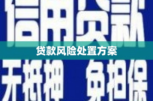 阳高贷款风险处置方案