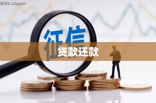 府谷贷款还款