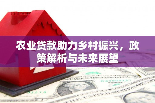 光复农业贷款助力乡村振兴，政策解析与未来展望