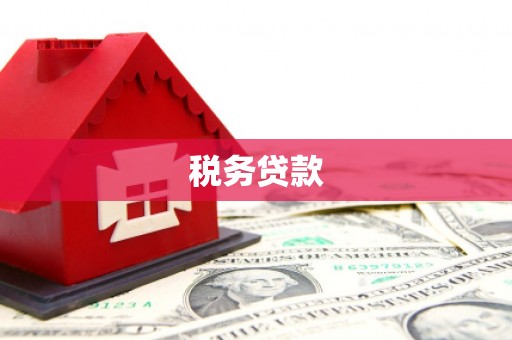 府谷税务贷款