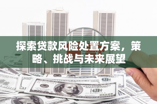 鼓山探索贷款风险处置方案，策略、挑战与未来展望
