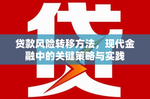 上林贷款风险转移方法，现代金融中的关键策略与实践