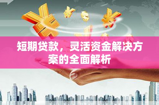 谯城短期贷款，灵活资金解决方案的全面解析