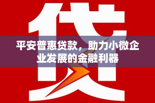 巴里坤平安普惠贷款，助力小微企业发展的金融利器