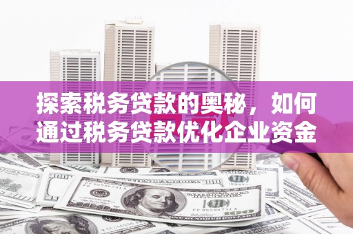 清新探索税务贷款的奥秘，如何通过税务贷款优化企业资金流