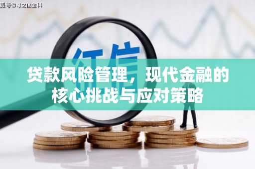 遂宁贷款风险管理，现代金融的核心挑战与应对策略