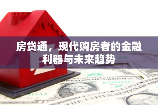 利辛房贷通，现代购房者的金融利器与未来趋势