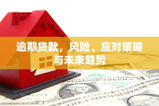 横县逾期贷款，风险、应对策略与未来趋势