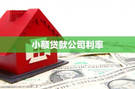 措勤小额贷款公司利率
