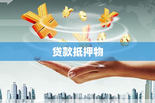 遂溪贷款抵押物