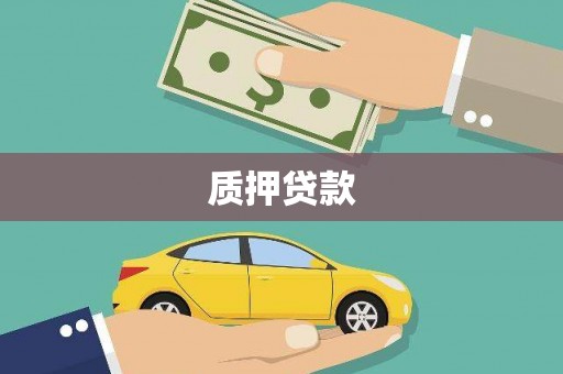 平南质押贷款