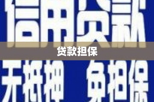 二水贷款担保