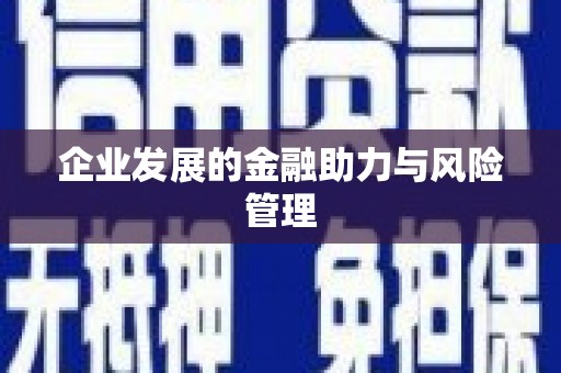 民丰企业发展的金融助力与风险管理