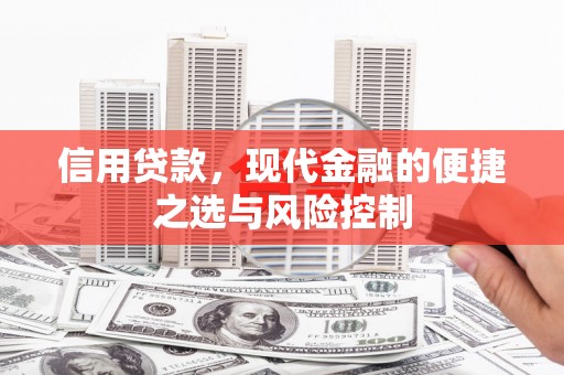 宜君信用贷款，现代金融的便捷之选与风险控制