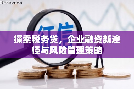 东至探索税务贷，企业融资新途径与风险管理策略
