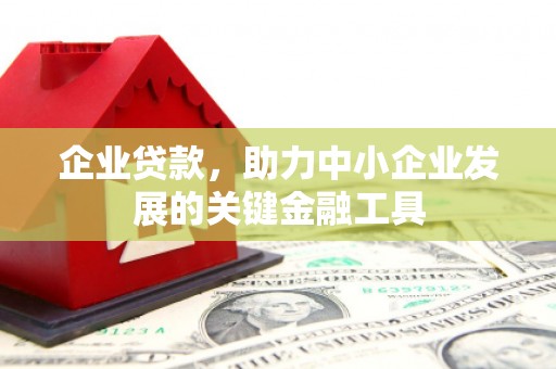 湖里企业贷款，助力中小企业发展的关键金融工具