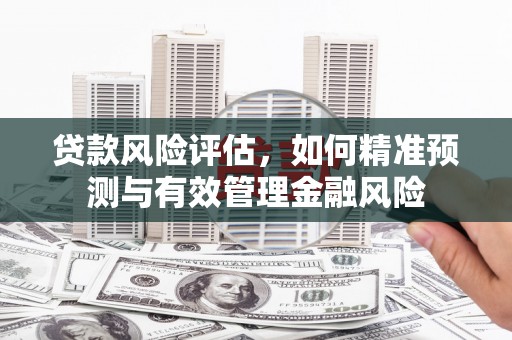 神农架贷款风险评估，如何精准预测与有效管理金融风险