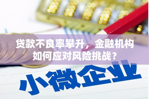 福海贷款不良率攀升，金融机构如何应对风险挑战？