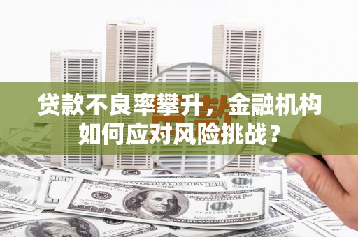 天峨贷款不良率攀升，金融机构如何应对风险挑战？