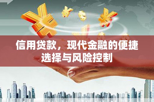 赤城信用贷款，现代金融的便捷选择与风险控制