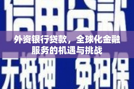 康马外资银行贷款，全球化金融服务的机遇与挑战