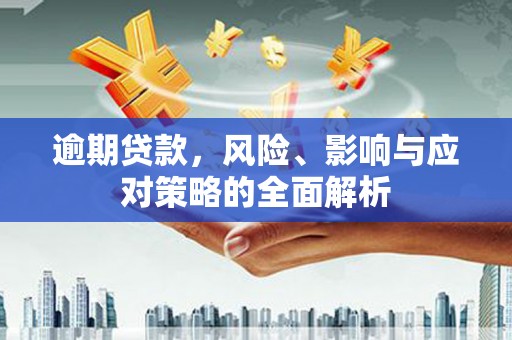 望城逾期贷款，风险、影响与应对策略的全面解析
