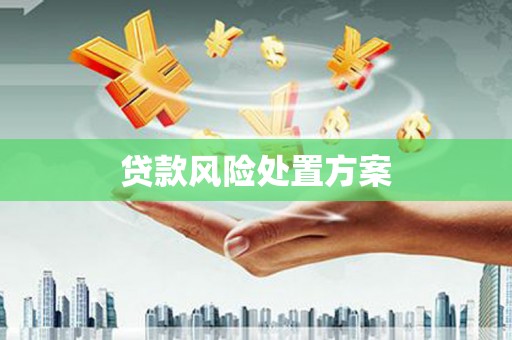 夏河贷款风险处置方案