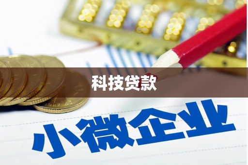 巴马科技贷款