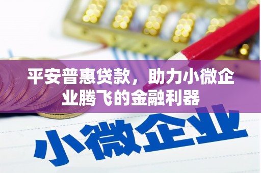 顺昌平安普惠贷款，助力小微企业腾飞的金融利器