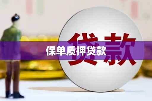洛宁保单质押贷款