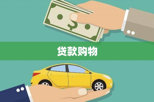 水林贷款购物