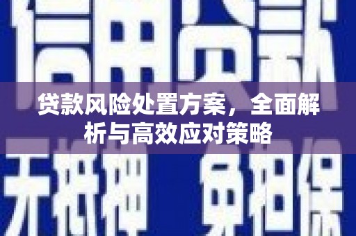荣县贷款风险处置方案，全面解析与高效应对策略