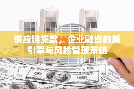 西畴供应链贷款，企业融资的新引擎与风险管理策略