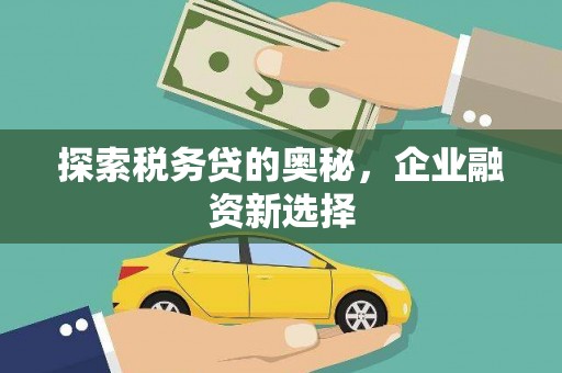 衡东探索税务贷的奥秘，企业融资新选择