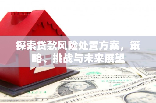 甘州探索贷款风险处置方案，策略、挑战与未来展望