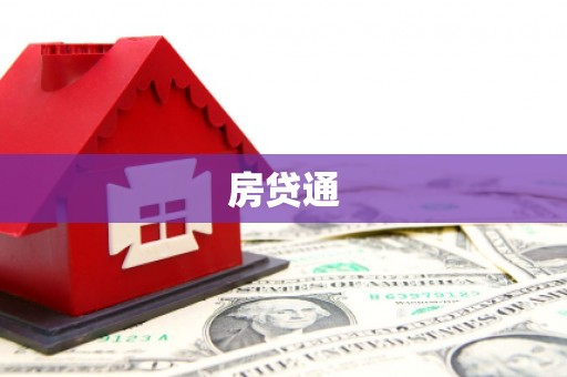 龙文房贷通