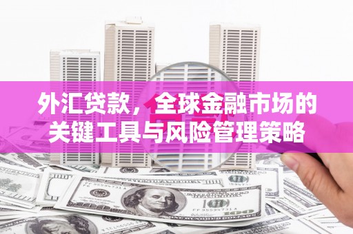 武穴外汇贷款，全球金融市场的关键工具与风险管理策略