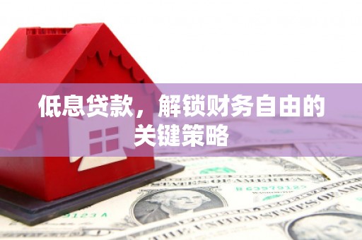 那坡低息贷款，解锁财务自由的关键策略